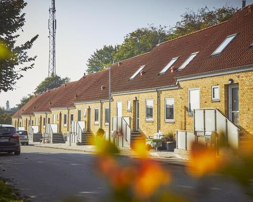 Beskrivelse