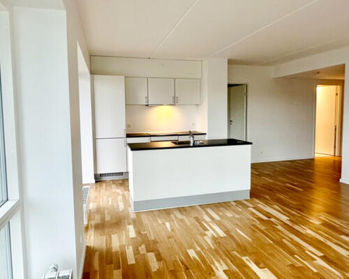 Lys og moderne 3-værelses lejlighed med stor altan