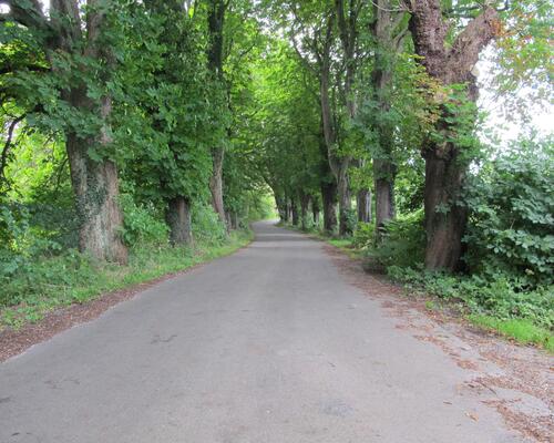 4 værelses hus i Ebberup