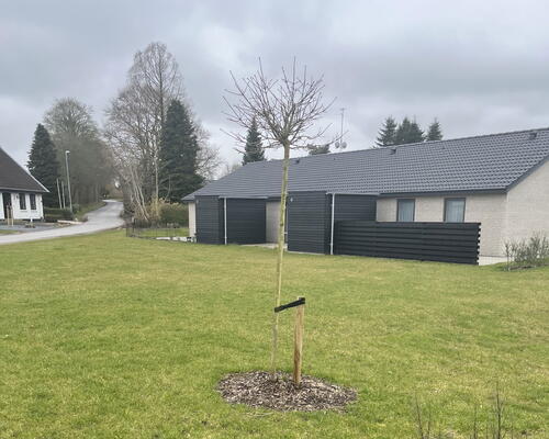 4 værelses hus i Brenderup Fyn