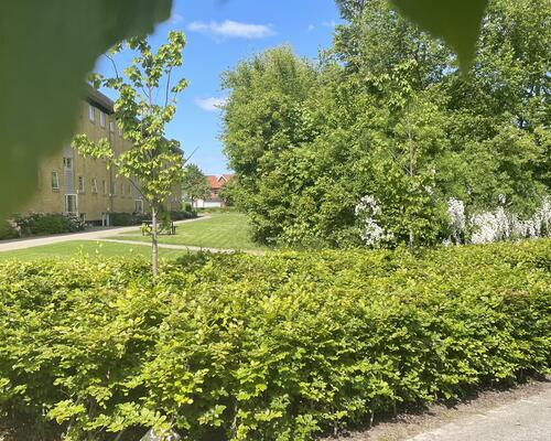 3 værelses lejlighed i Viborg