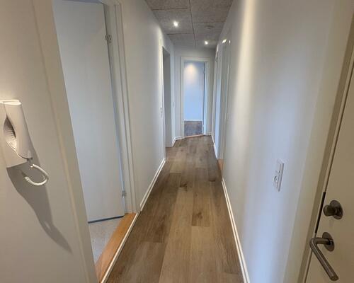 Nyrenoveret 3. værelses lejlighed