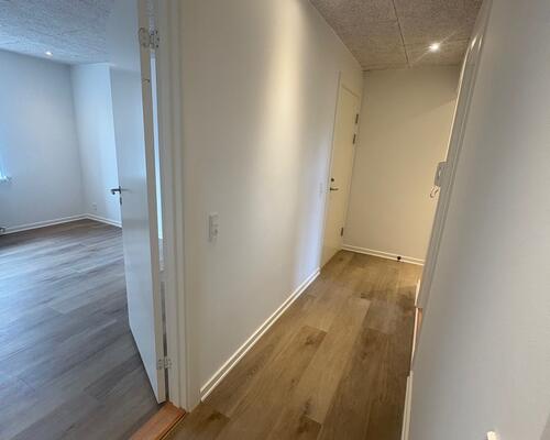 Nyrenoveret 3. værelses lejlighed