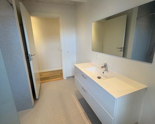 Nyrenoveret 3. værelses lejlighed