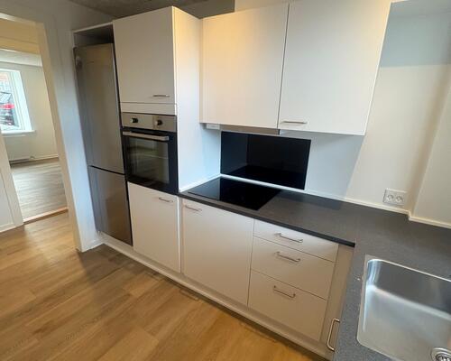 Nyrenoveret 3. værelses lejlighed