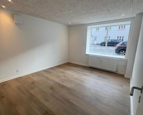 Nyrenoveret 3. værelses lejlighed