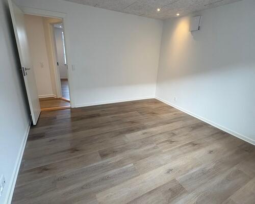 Nyrenoveret 3. værelses lejlighed