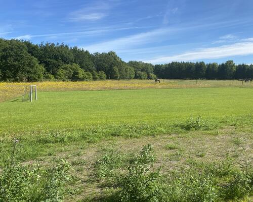 4 værelses hus i Viborg