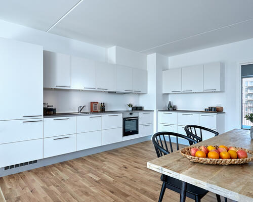 4 værelses lejlighed i CobraHave