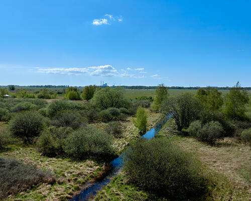 4 værelses lejlighed i CobraHave
