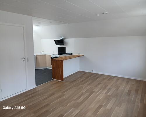 2 værelses lejlighed 55 m2 