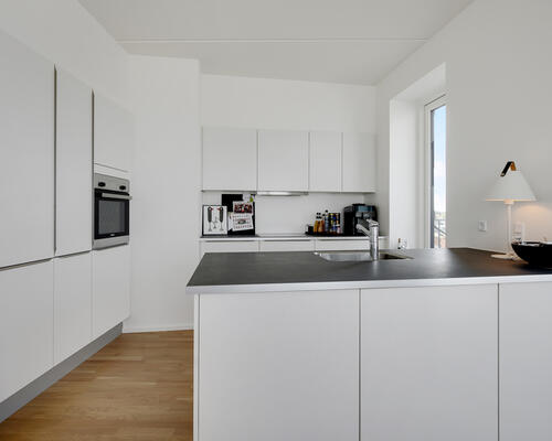 Stor, unik 4-værelses penthouse lejlighed med fantastisk udsigt i AstaHus