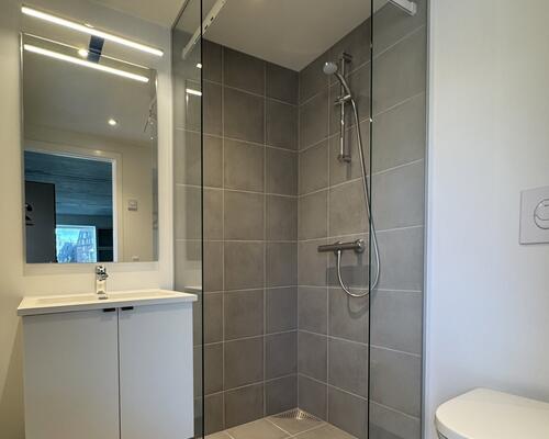 1 værelses lejlighed i Odense C