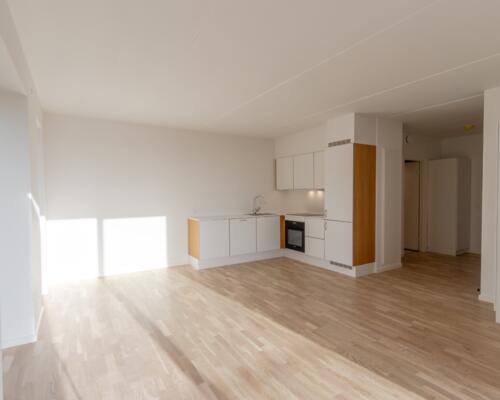 Penthouse-bolig med stor tagterrasse