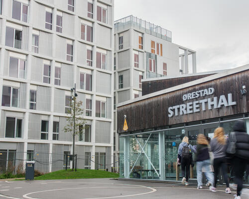 2 værelses lejlighed i København S
