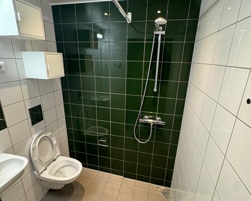 Fin studie­lejlighed i Carlsbergbyen *umøbleret*