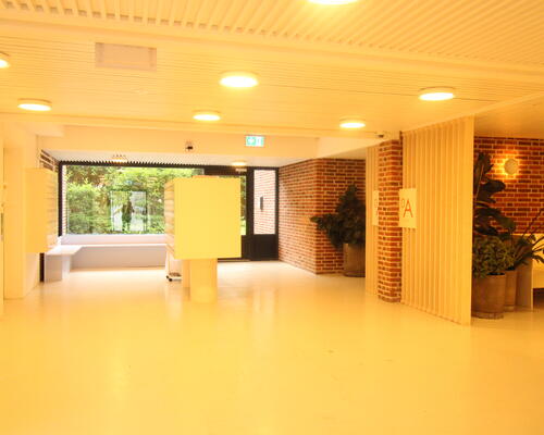 Lys studio i Brønshøj