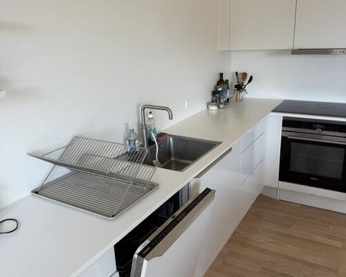 3-værelses lejlighed, Østerbro, Indtil 31st Januar (3-4 måneder)