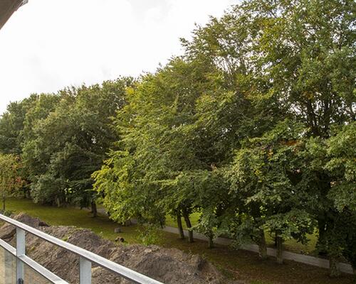 3 værelses hus i Frederikshavn