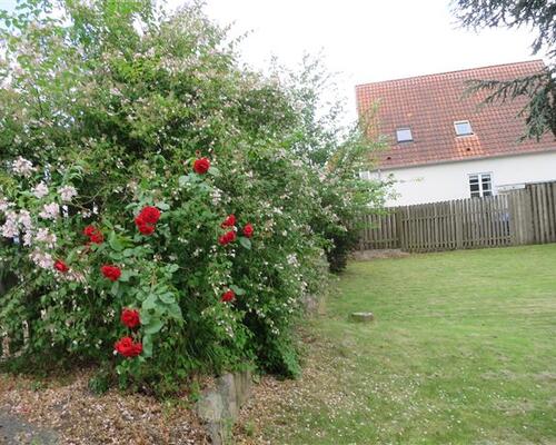2 værelses lejlighed i Odense M