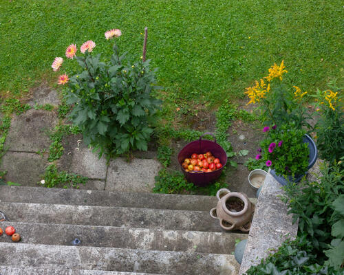 2 værelses lejlighed i Hellerup