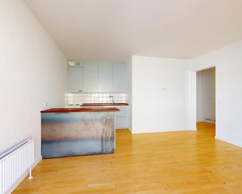 1 værelses lejlighed i København K