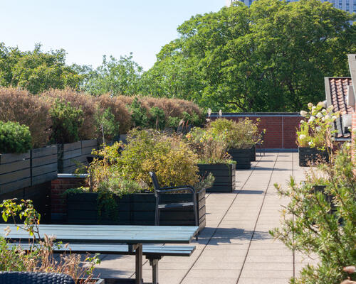 1 værelses lejlighed i København K