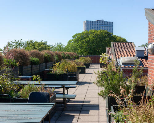 1 værelses lejlighed i København K