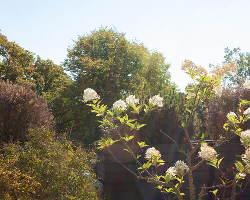 1 værelses lejlighed i København K