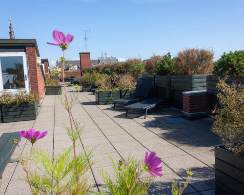 1 værelses lejlighed i København K