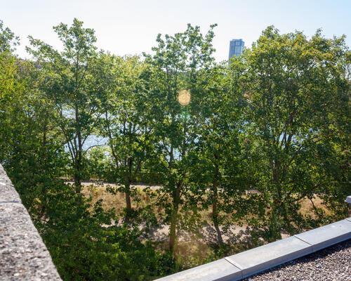 1 værelses lejlighed i København K