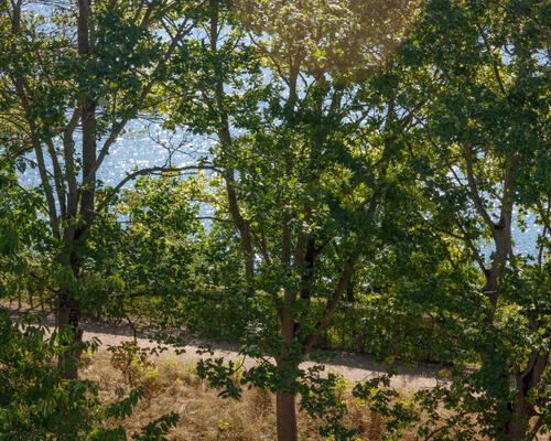 1 værelses lejlighed i København K