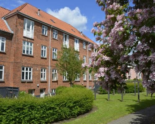 2-værelses lejlighed med køkken, badeværelse og en lille have. 