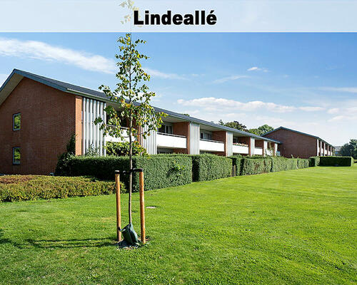 3 værelses lejlighed i Vildbjerg