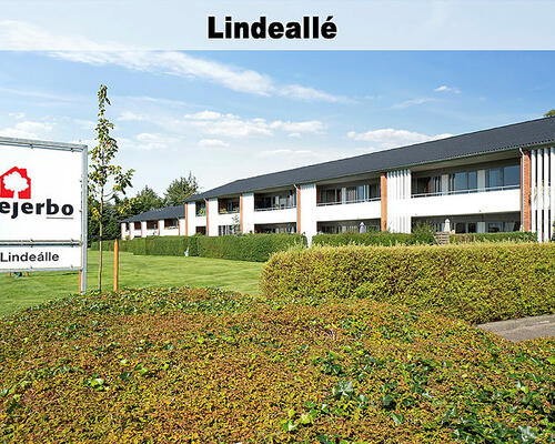 3 værelses lejlighed i Vildbjerg