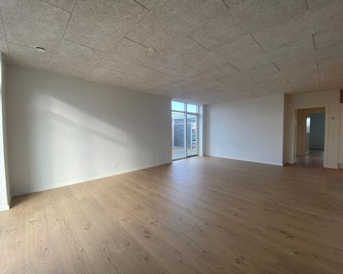 SKOVFRYD - NYERE, ATTRAKTIVT BOLIGOMRÅDE I LISEBORG