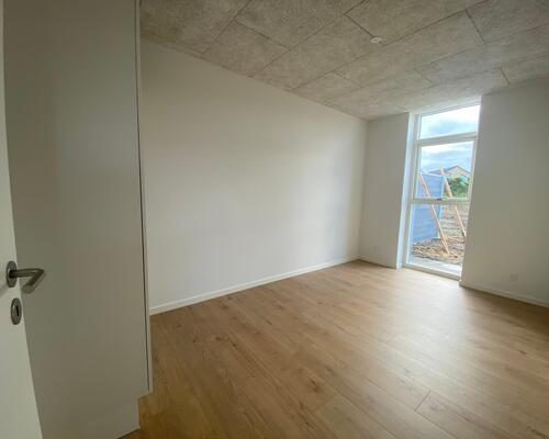 SKOVFRYD - NYERE, ATTRAKTIVT BOLIGOMRÅDE I LISEBORG