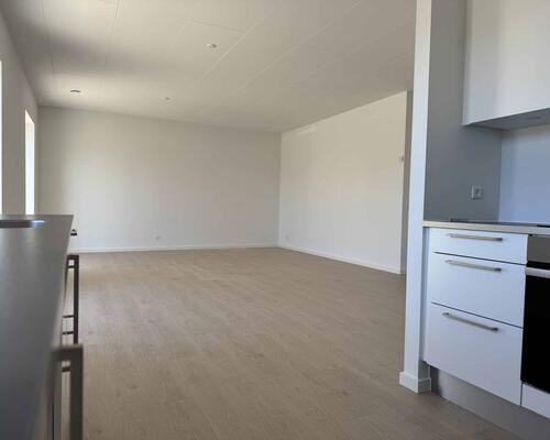 3 værelses lejlighed i Agedrup