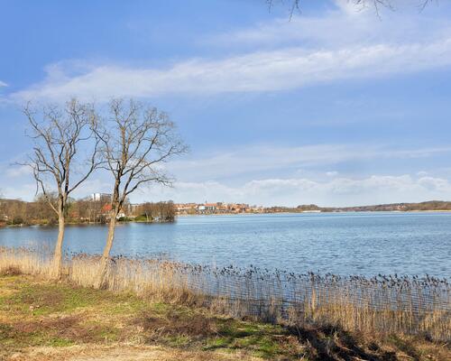 Teglgårdshaven - med udsigt ad libitum