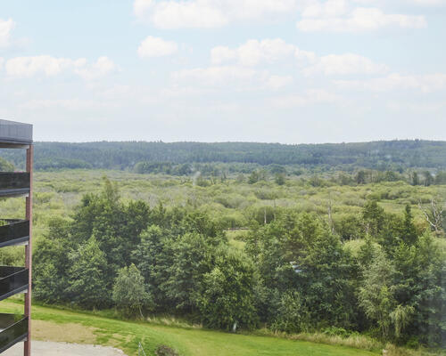3 værelses lejlighed i Silkeborg