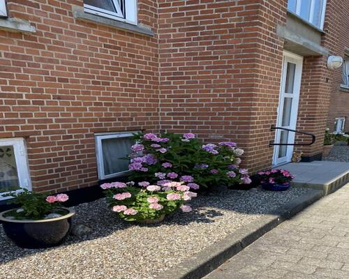 3 værelses lejlighed i Roslev