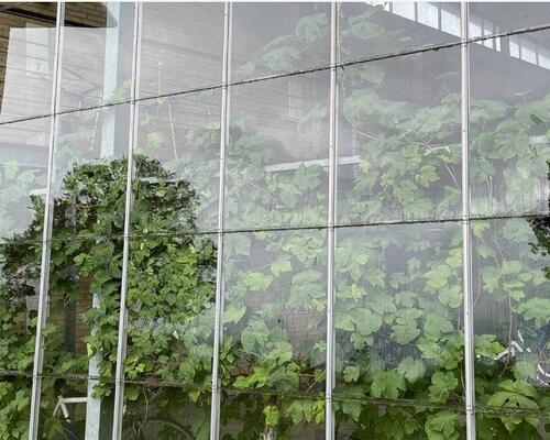 2 værelses lejlighed i Odense S