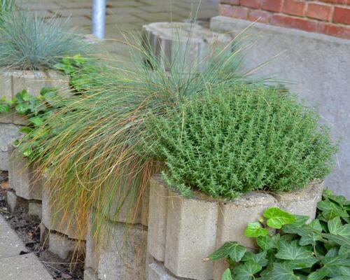 3 værelses lejlighed i Skive