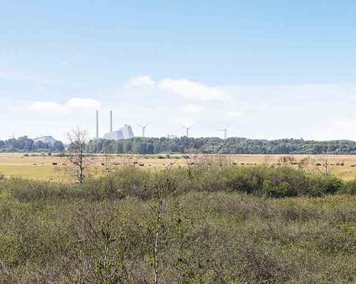 5 værelses rækkehus i HeerupHave