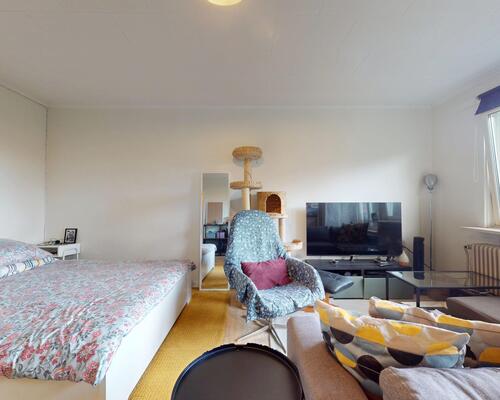 1 værelses lejlighed i Bagsværd