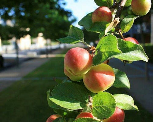 2 værelses lejlighed i Herning