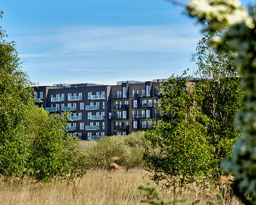 4 værelses lejlighed i CobraHave