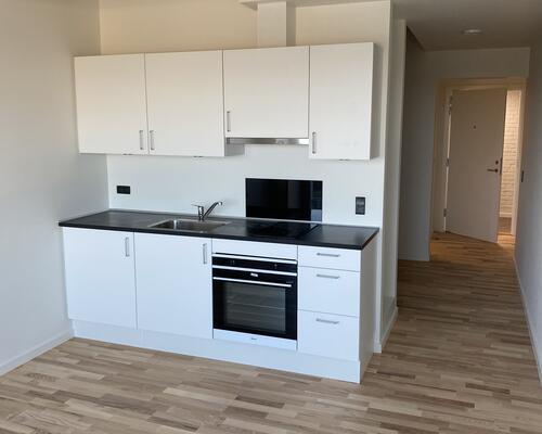 Studiebolig i Lønneparken - bliv boende efter endt uddannelse