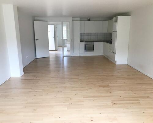 Velindrettet lejlighed med egen terrasse og direkte adgang til have