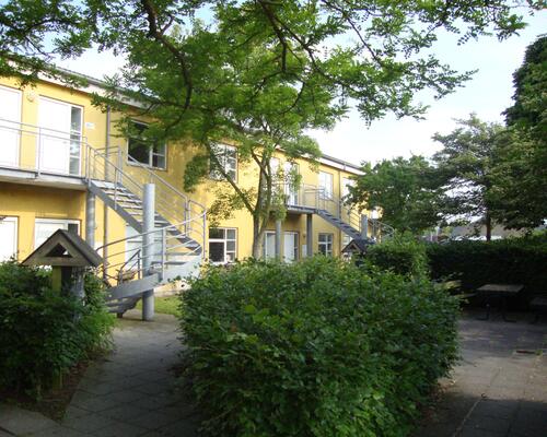 Velindrettet lejlighed med egen terrasse og direkte adgang til have